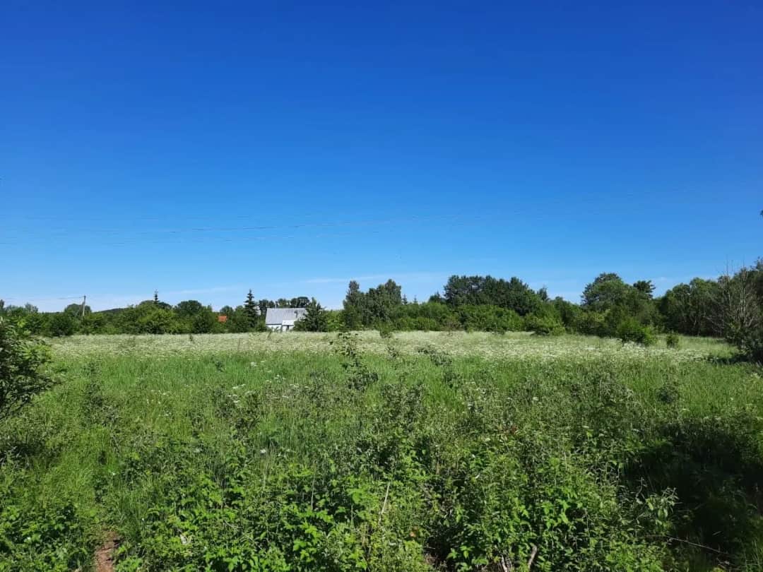 Jaunciema gatve, Trīsciems, Rīga