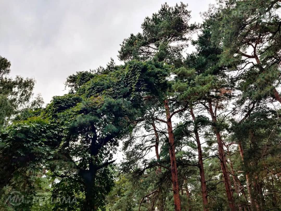 2 istabu 48m² dzīvoklis Jūrmalā, Bulduri