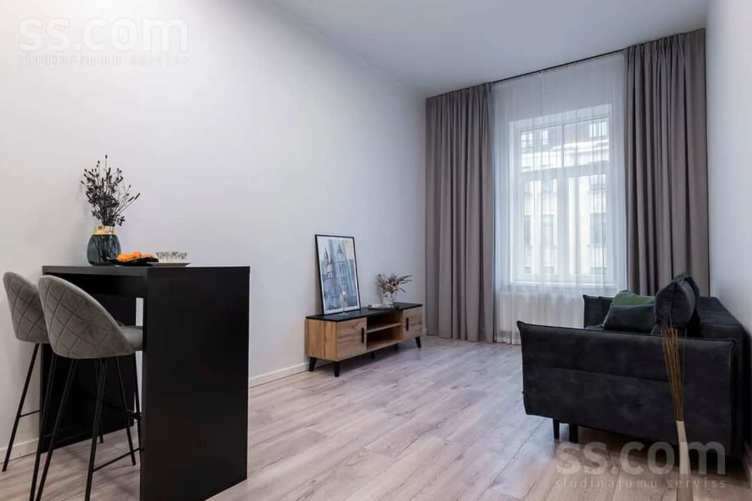 Vienistabas dzīvoklis — Pulkv. Brieža 10
