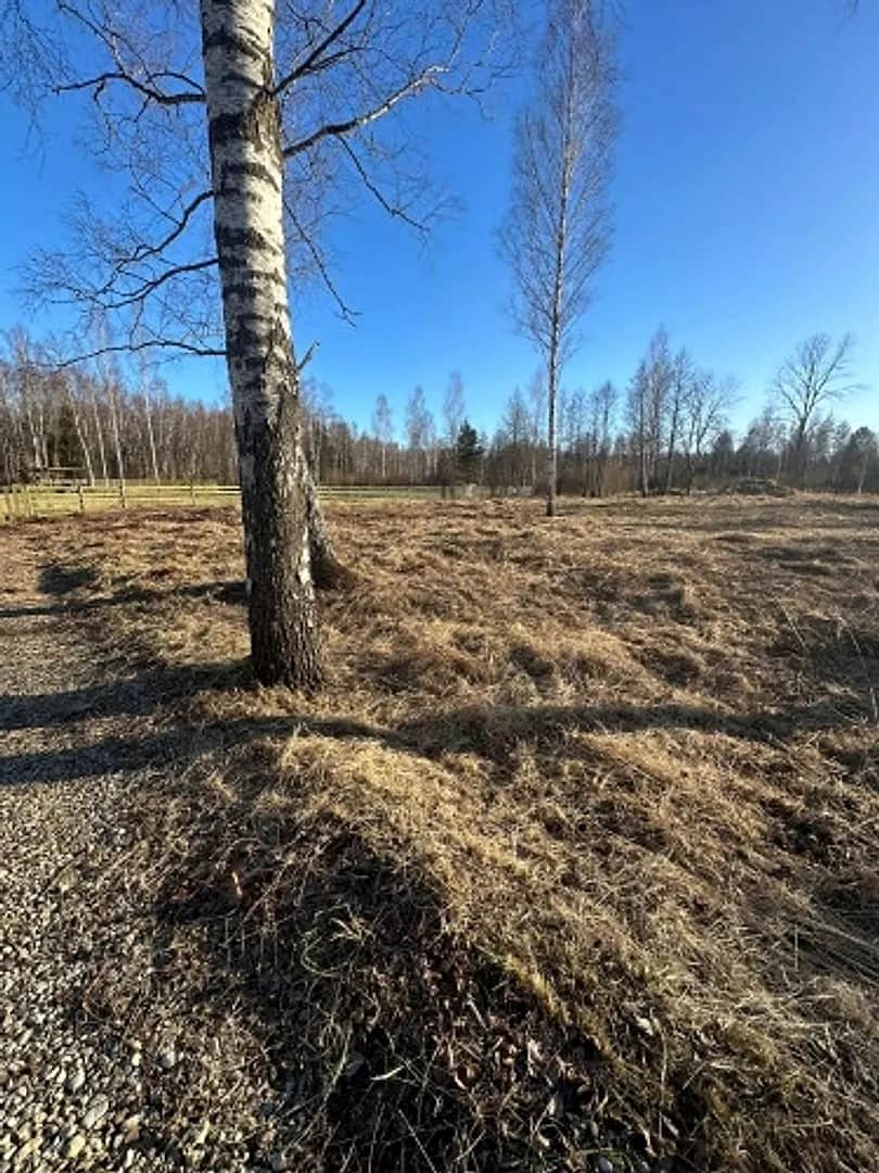 Pārdod zemi Klapkalnciemā pie jūras. Piedāvājumā perspektīvs zemes gabals Klapkalnciems