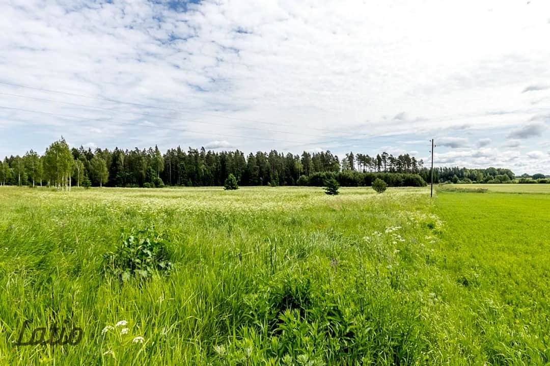 Pārdod ainavisku 7.2 ha zemesgabalu GNP neitrālajā zonā, no kura daļa atrodas Raganas ciemā,
