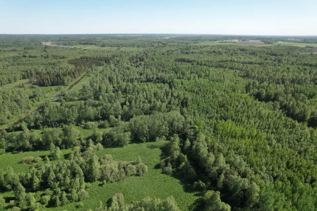 Viļķenes pagasts, Limbažu novads