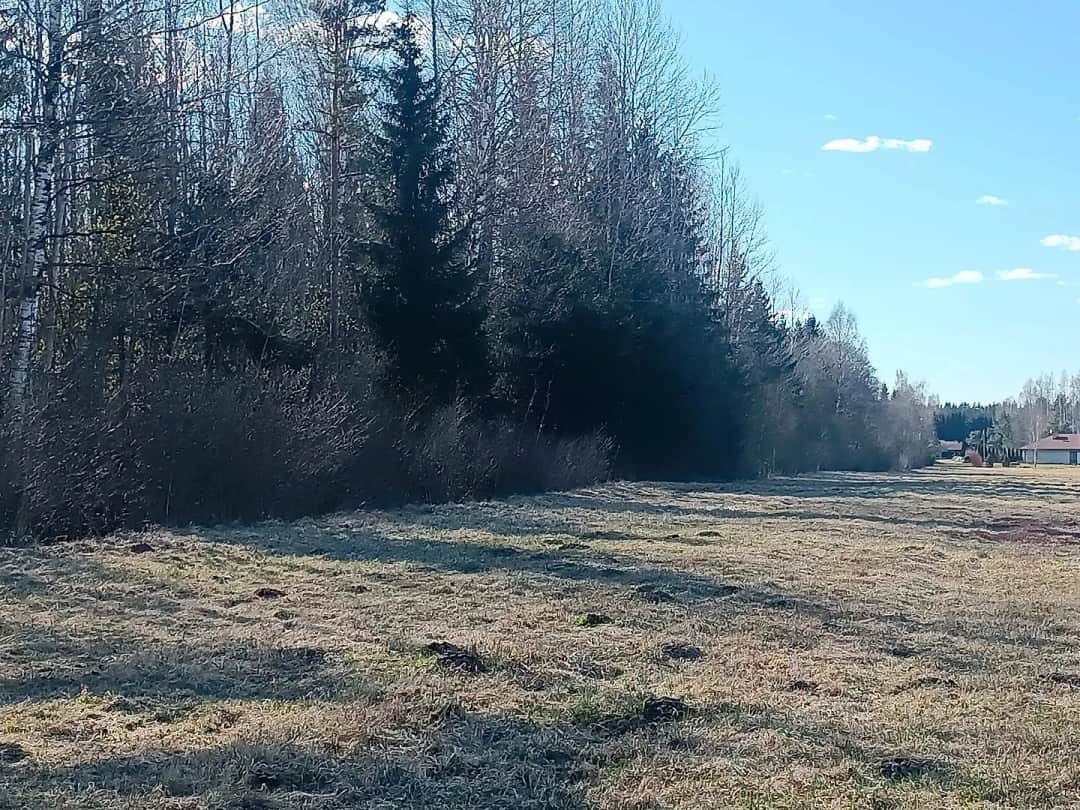 Tīnūžu pagasts, Ikšķiles novads