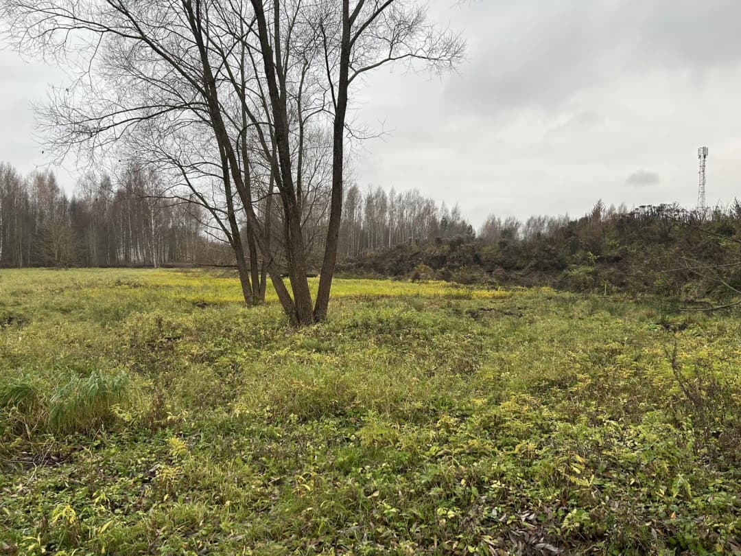 Mūkupurva iela, Mūkupurvs, Rīga — bilde 2