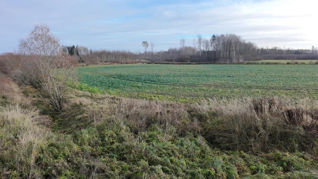 Baldones pagasts, Ķekavas novads — vēl bildes