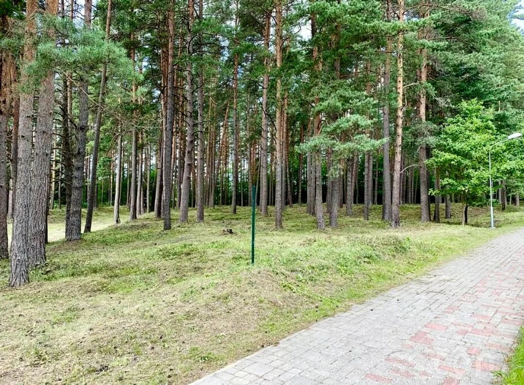 Berģi, Rīga — bilde 2