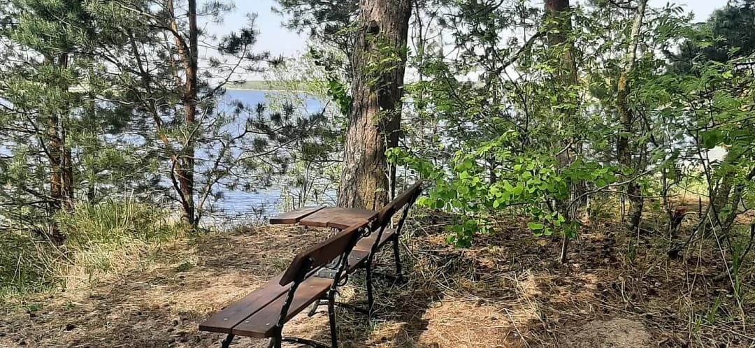 Priedaine, Jūrmala — bilde 4