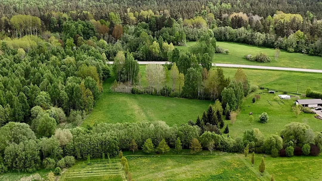 Pārdod zemes gabalu apbūvei. Zemesgabals ir attīrīts no nelietderīgiem krūmiem, tiek — bilde 2