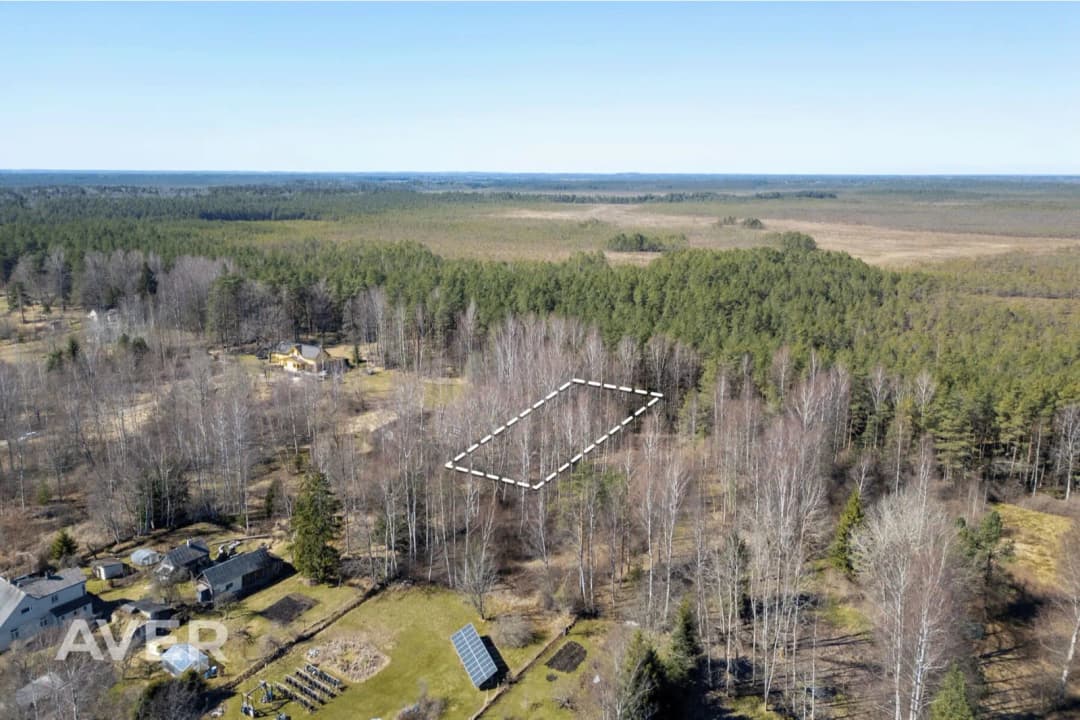 Jūrmala, Ķemeri, Stropu iela 11 — vēl bildes
