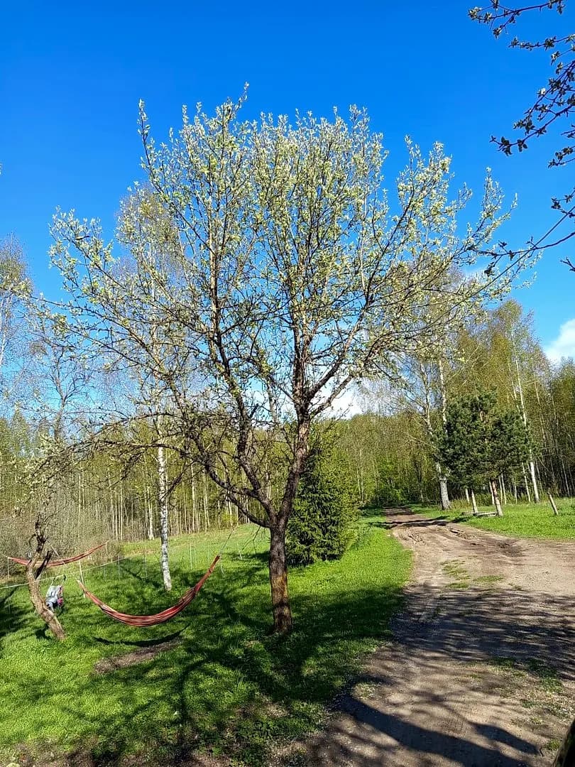 3-ist. Māja, 67㎡ - Valkas novads, Valka — bilde 2