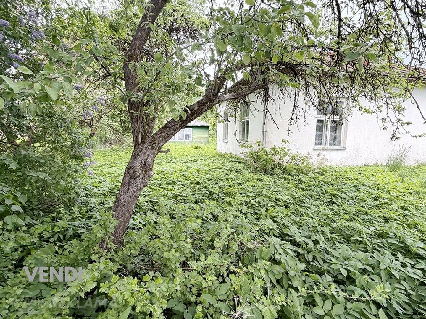 Māja Gostiņos, 66.4 m², 1 st., 3 ist.. — bilde 3