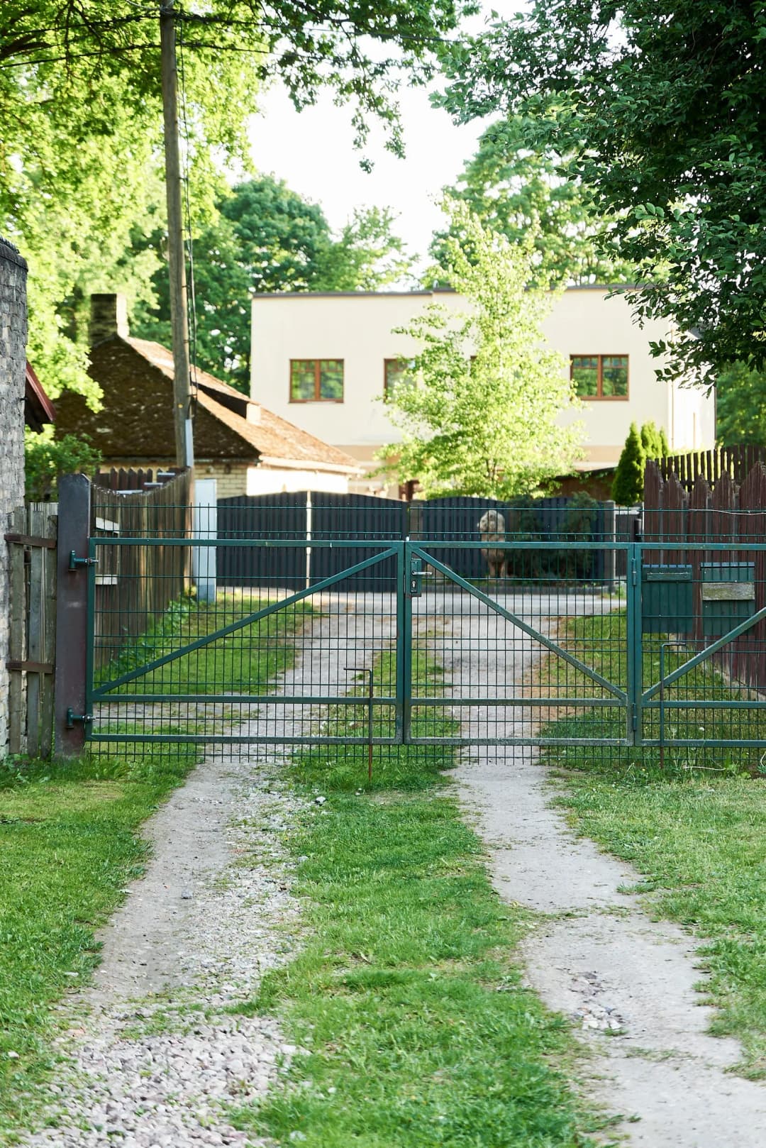 Rucavas iela, Pleskodāle, Rīga — bilde 2