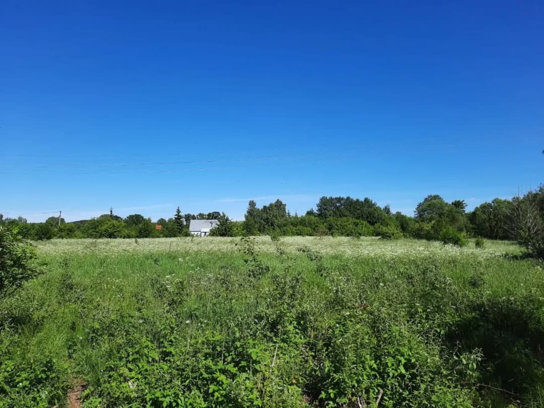 Jaunciema gatve, Trīsciems, Rīga