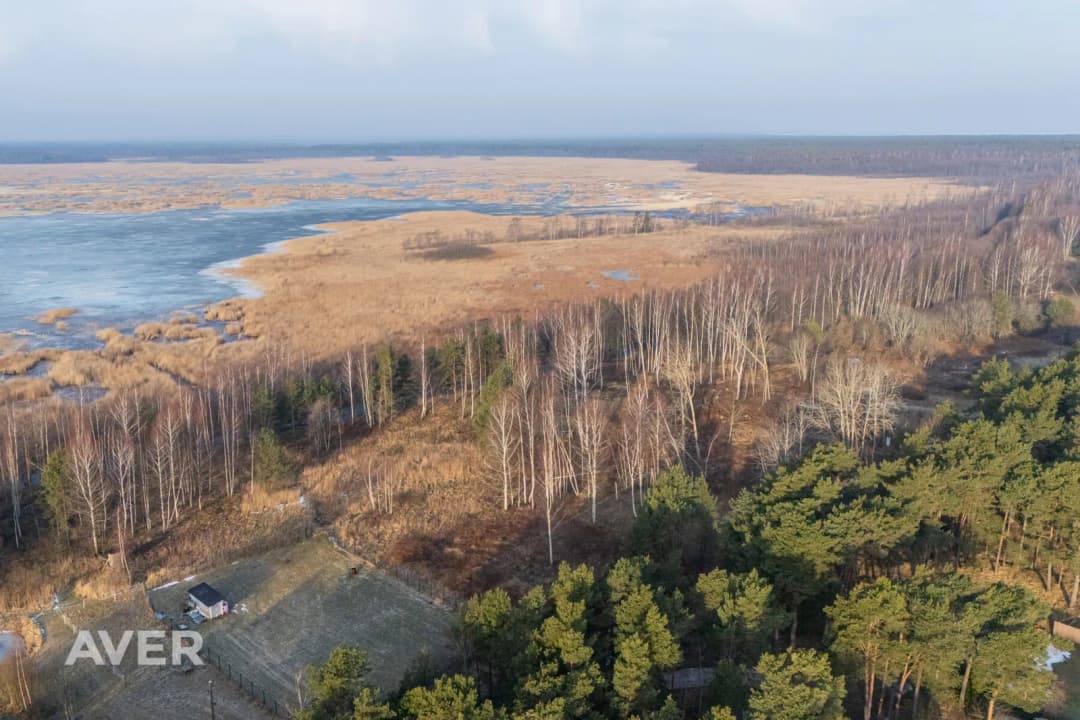 Tukuma nov., Lapmežciema pagasts, Mīļkalniņi — bilde 3