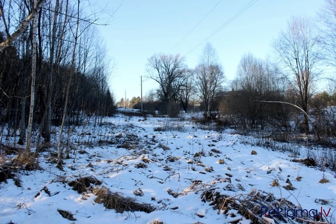 Pārdod zemesgabalu Pļaviņu pilsētas malā (oficiāli Klintaines pagasts). Zemes gabala — bilde 3