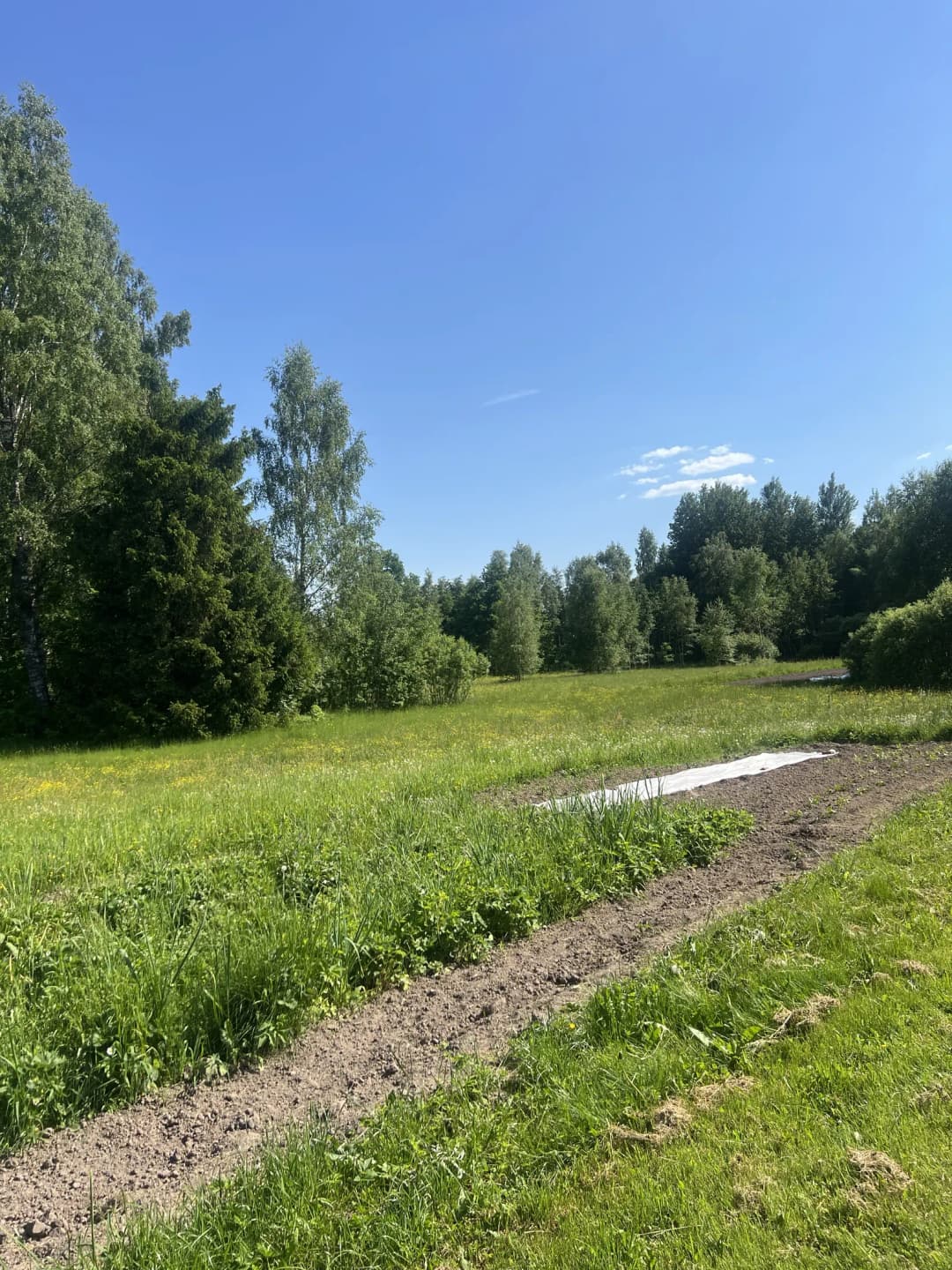 Smilšu iela, Valdemārpils