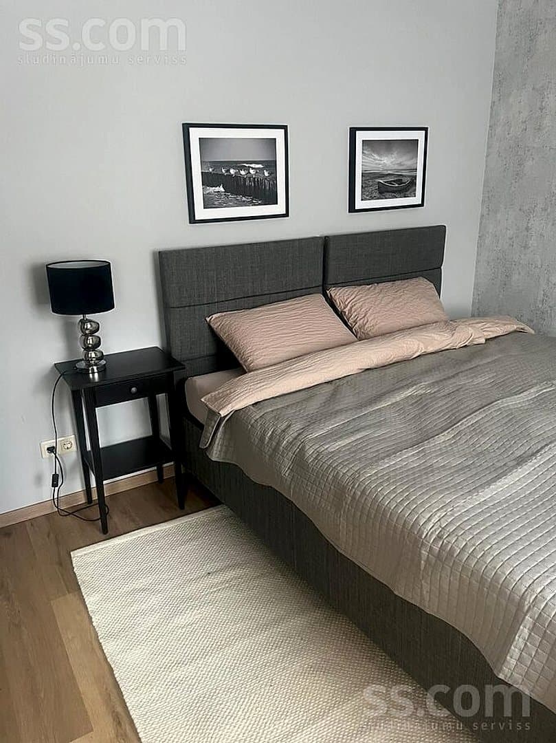 Vienistabas dzīvoklis — Apšu 33 — bilde 2