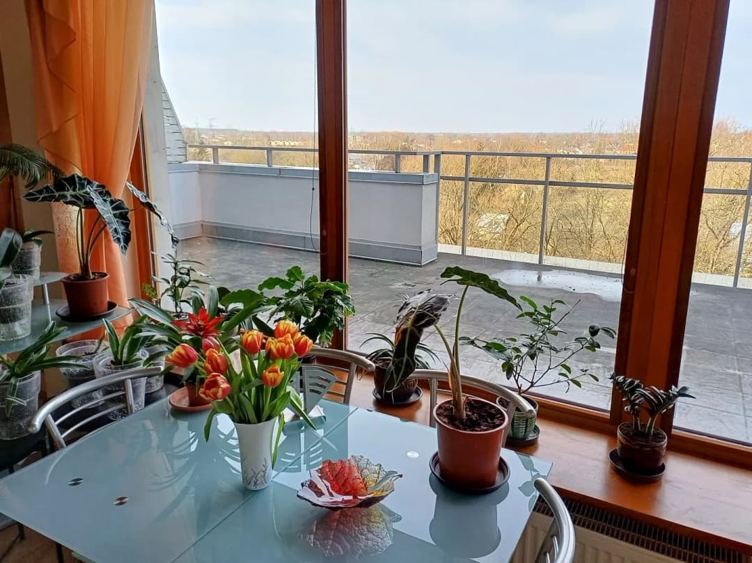 5-ist. Dzīvoklis, 170㎡ - Rīga — vēl bildes