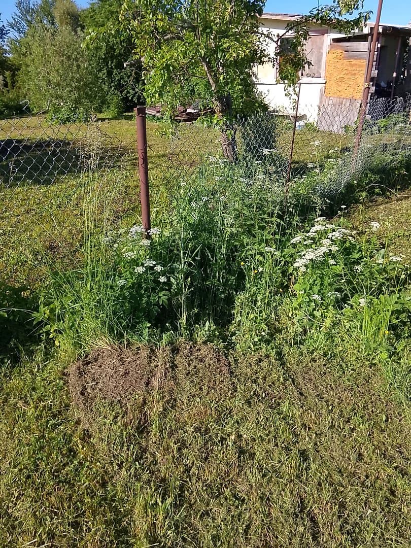 1-ist. Māja, 14㎡ - Dobeles novads, Auru pagasts