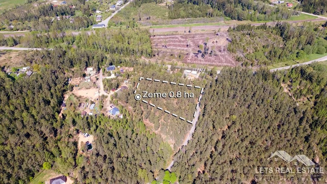 Meža miers, Inčukalna pagasts, Siguldas novads — bilde 4