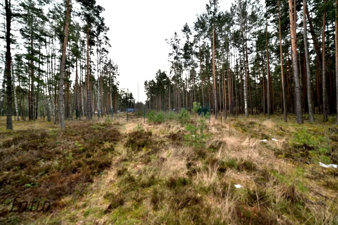 Vecmīlgrāvis, Rīga — bilde 4