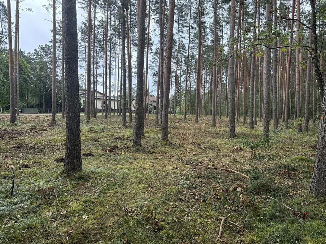 Zeme, 4959㎡ - Garkalnes pagasts, Garkalne — bilde 2