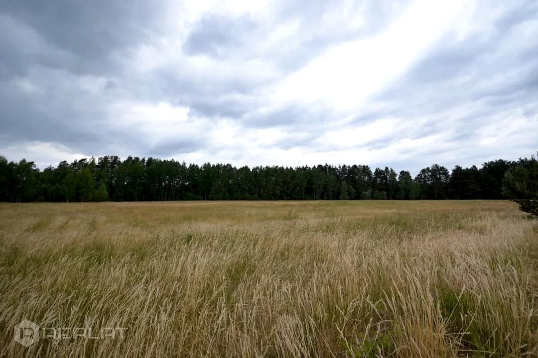 Zeme, 34300.00㎡ - Ādažu pagasts, Iļķene