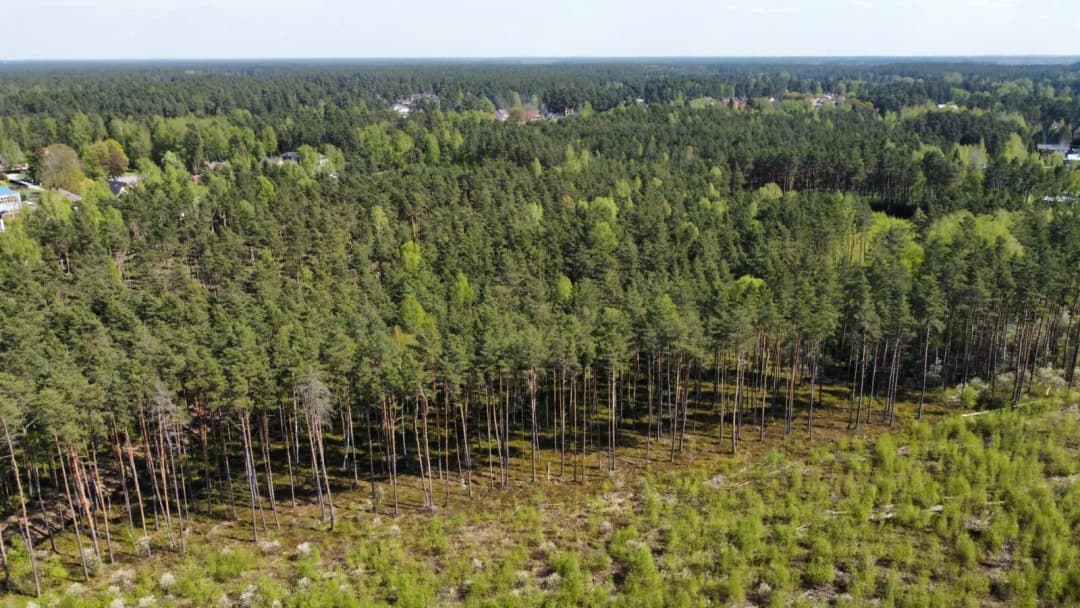 Mazā Lapu iela, Garkalnes pagasts, Ropažu novads — bilde 4