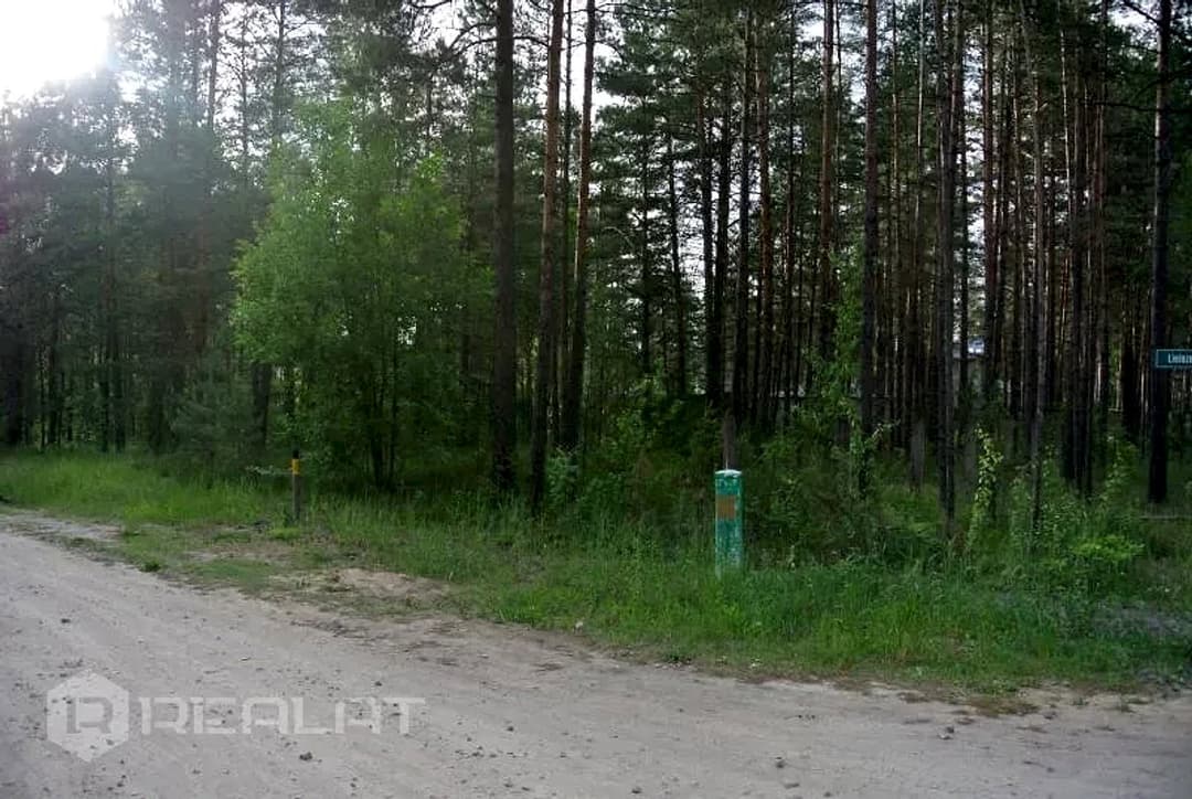 Zeme, 1478.00㎡ - Garkalnes pagasts, Langstiņi — vēl bildes