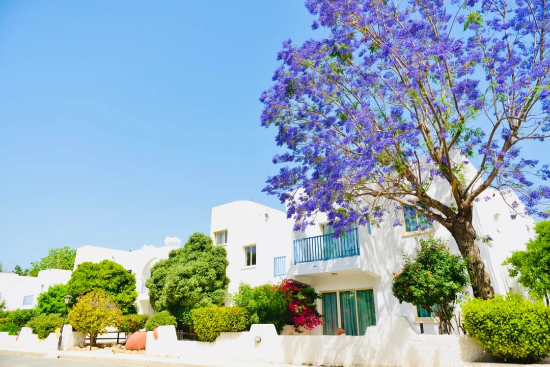 Dzīvoklis Kato Paphos