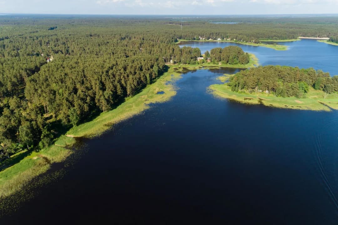 Laimdotas iela, Carnikavas pagasts, Ādažu novads — bilde 4
