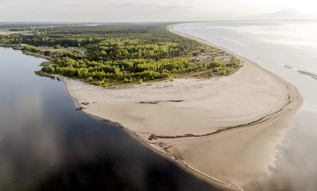 Zeme, 2503㎡ - Jūrmala — vēl bildes