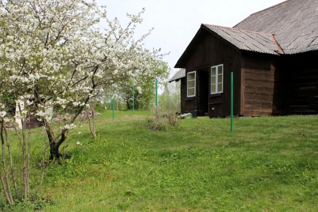 Uz vasaru tiek izīrēts lauku īpašums Zvejniekciemā, Saulkrastos. + Jūra atrodas 150 m — bilde 3