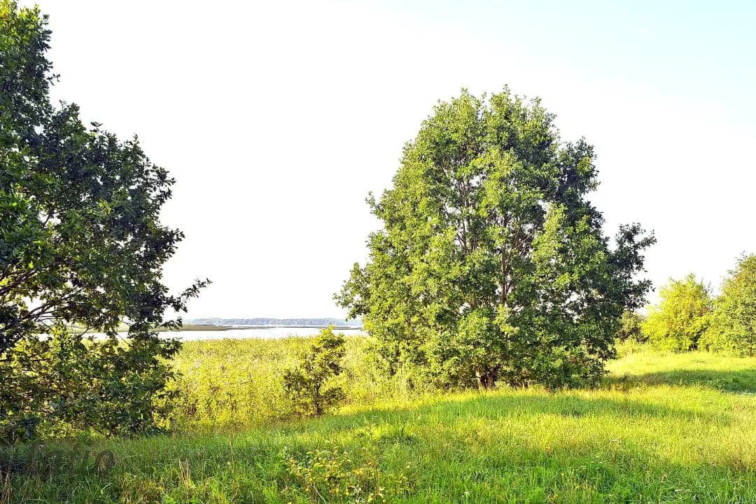 Jaunciems, Rīga — bilde 3