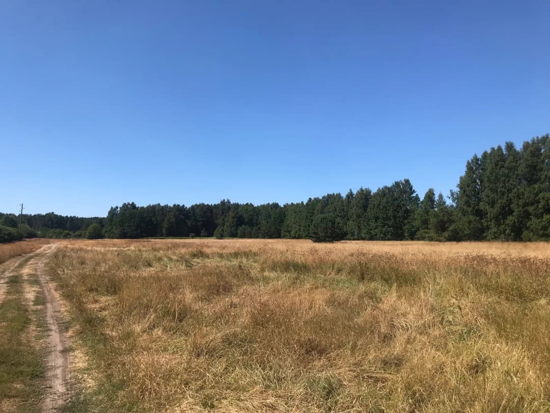 Bākas iela, Mērsraga pagasts, Talsu novads — bilde 2