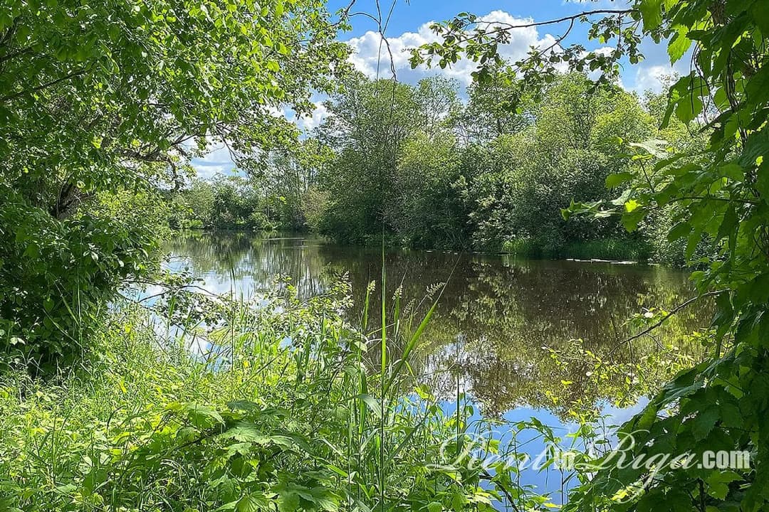 Berģi, Rīga — vēl bildes