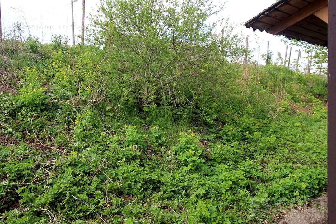 Vienistabas dzīvoklis — Cietokšņa 87 — bilde 3