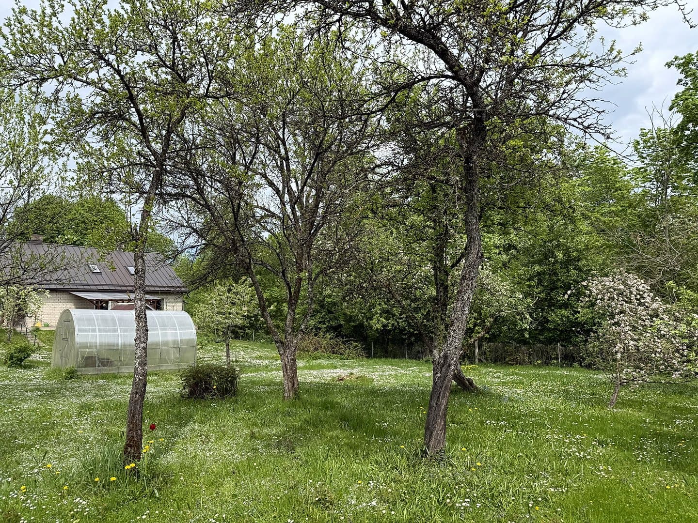 Zeme, 1233㎡ - Siguldas novads, Sigulda — bilde 4