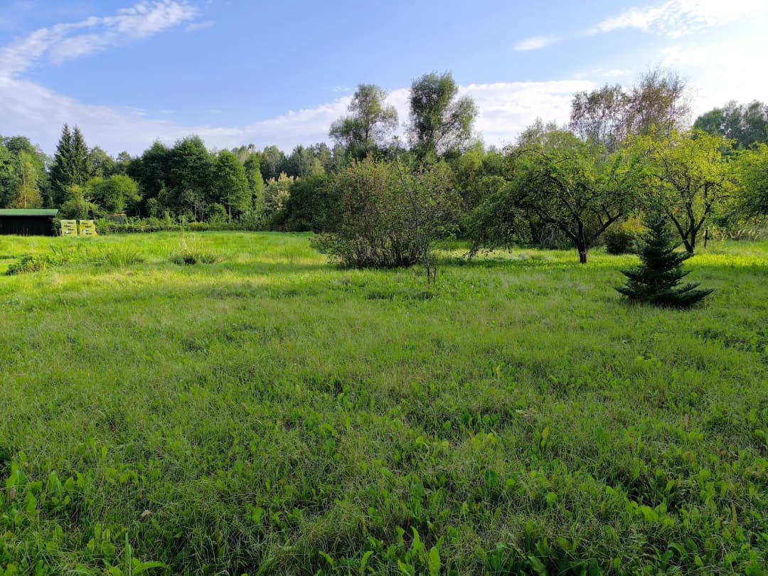 Vilhelma Purvīša iela, Ķemeri, Jūrmala — bilde 3