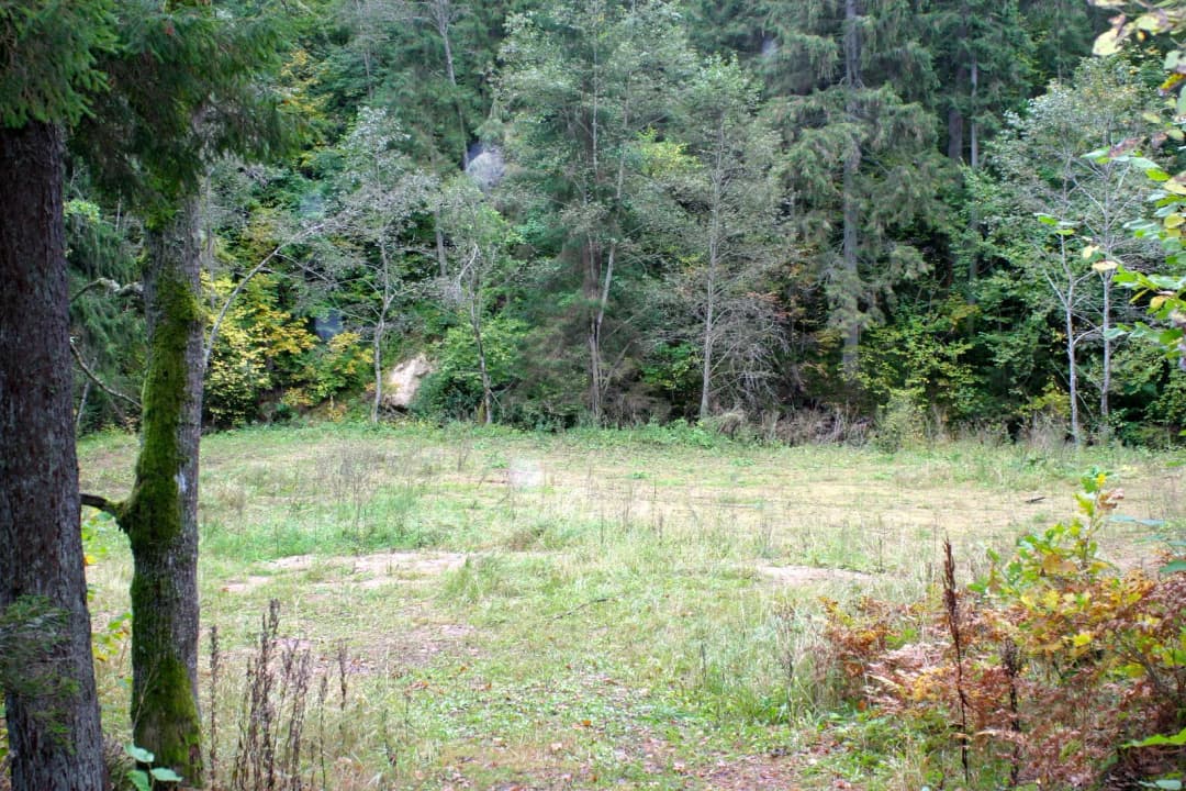 Liepu iela, Sējas pagasts, Saulkrastu novads