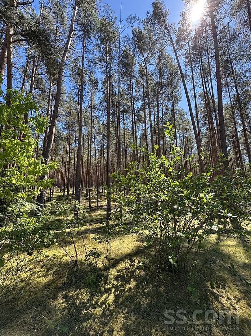 Māja — Baltās kāpas iela 21 — bilde 2