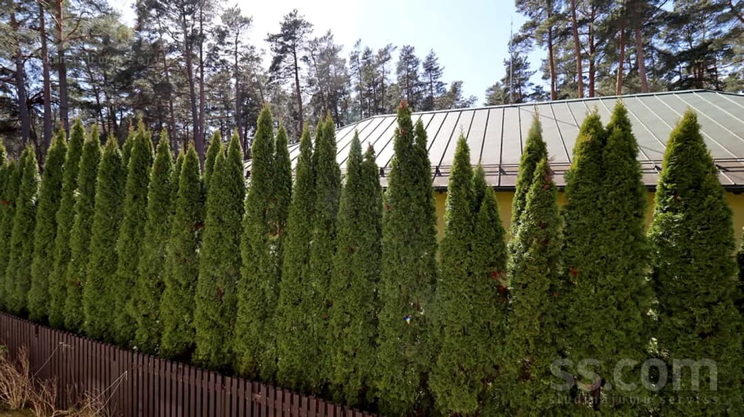 Vienistabas dzīvoklis — Edinburgas prospekts 55 — bilde 4