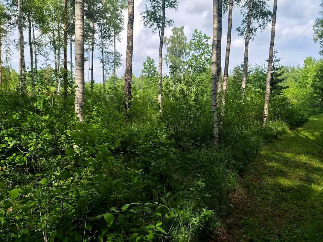 Zeme, 17900㎡ - Talsu novads, Ārlavas pagasts — vēl bildes