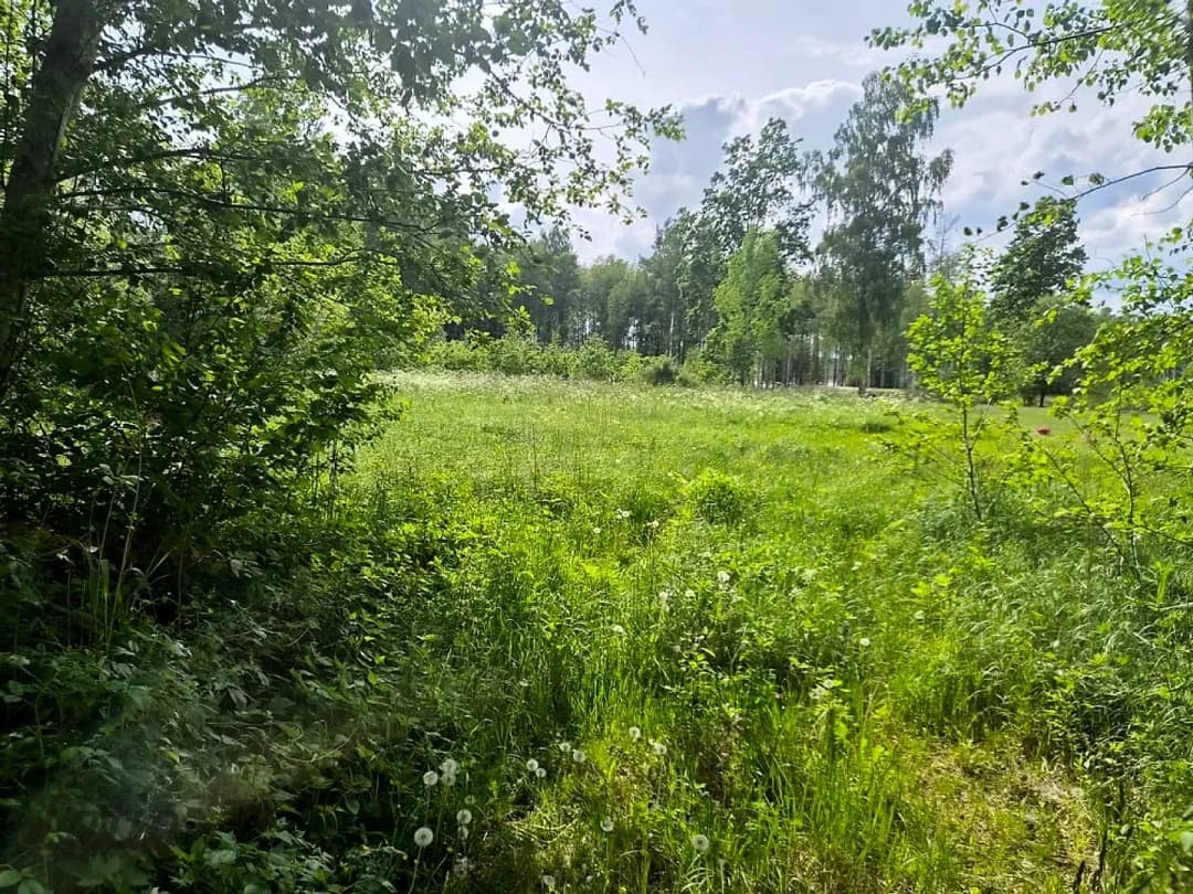 Pārdod skaistu, ainavisku zemes vienību Talsu novadā, Ārlavas pagastā ar skanīgu nosaukumu — bilde 4