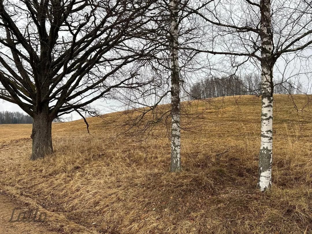 Kalncempju pagasts, Alūksnes novads — bilde 4
