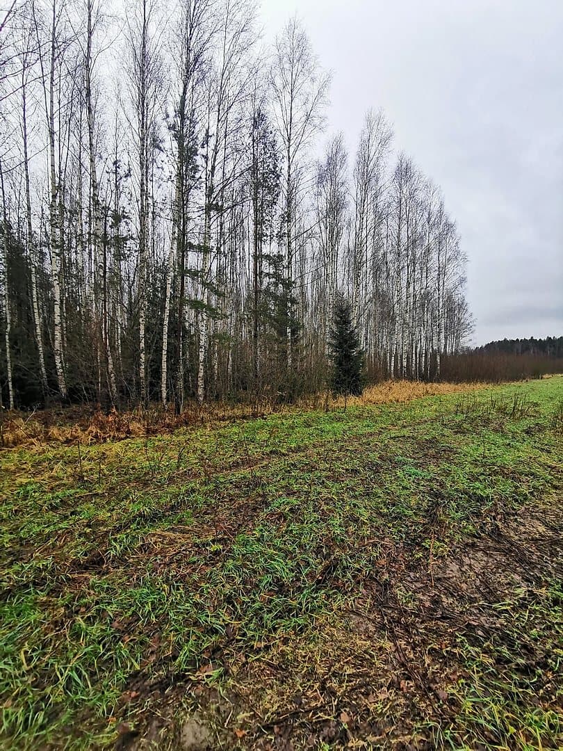 Lēdurgas pagasts, Siguldas novads — bilde 4