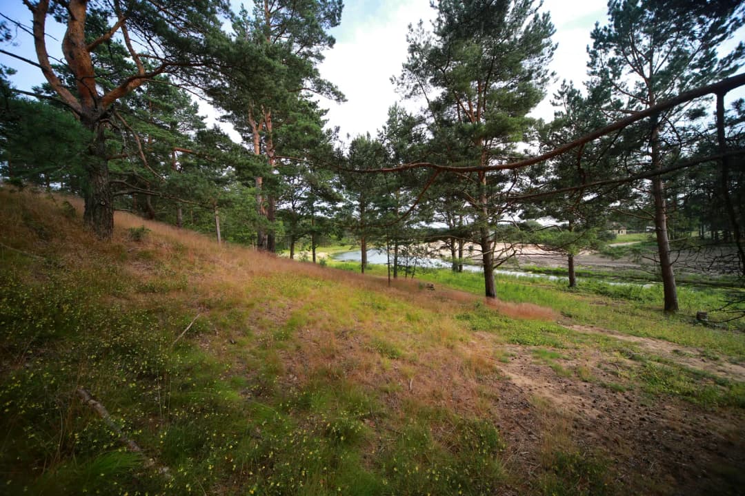 Zābaku iela, Ādažu pagasts, Ādažu novads — bilde 3