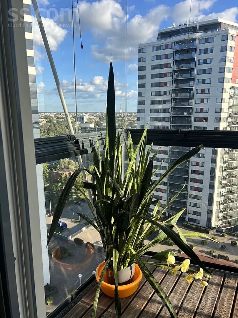 Divistabu dzīvoklis — Skanstes 29 — vēl bildes