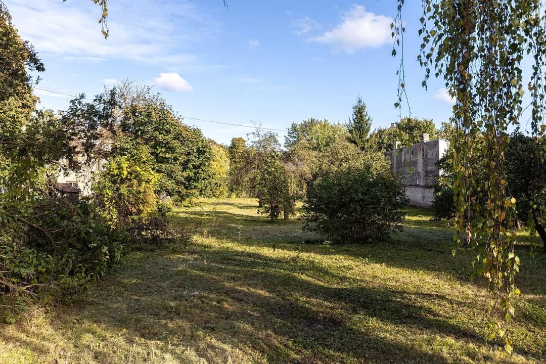 Teika, Rīga — bilde 2