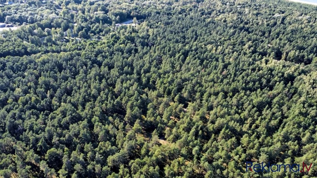 Iegādei pieejams plašs zemesgabals, ar kopējo platību 50 392 m2 Mangaļu pussalā. Lieliska — bilde 3